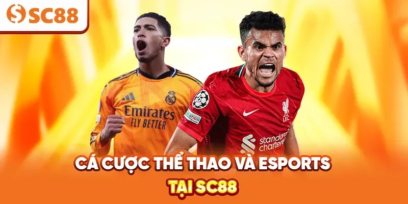 Tại sao bạn nên đặt cược vào các sự kiện thể thao cấp độ 23Win - 23Win