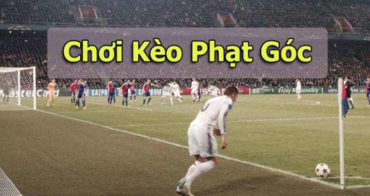 Tải ứng dụng Rr88 để đặt cược nhanh chóng và dễ dàng - Rr88