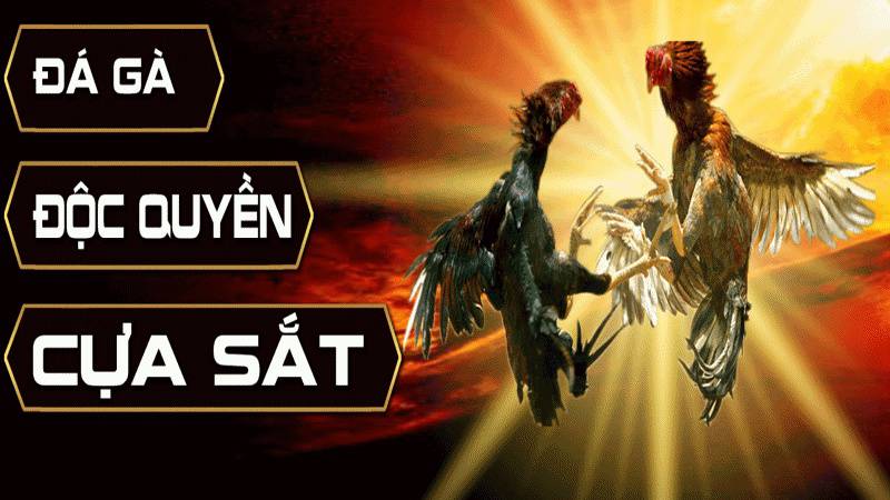 Hãy tham gia Ax88 và tận hưởng các trò chơi bài trực tuyến - Ax88