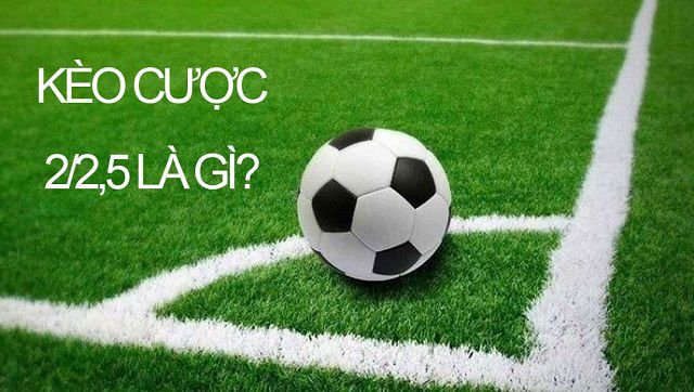 Tại sao Vnq8 lại là lựa chọn hàng đầu của người chơi cá cược? - Vnq8