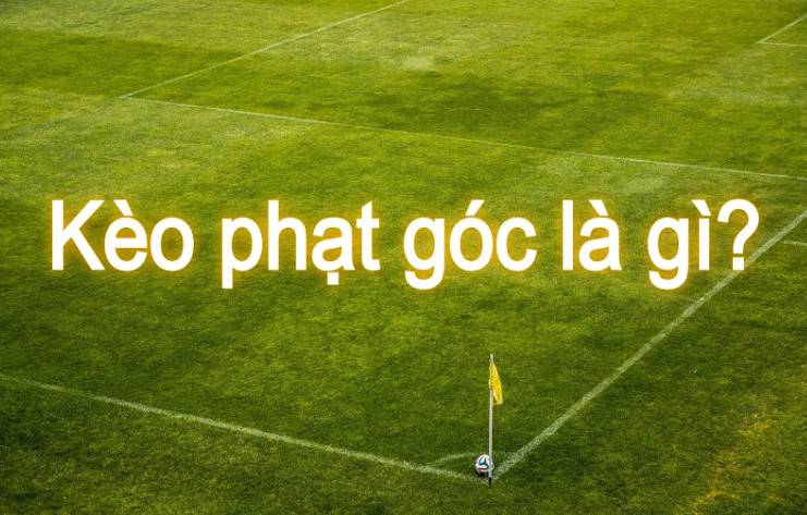 Tôi có thể khôi phục tài khoản Luxvaip của mình bằng cách nào? - Luxvaip